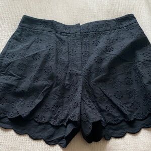 Ann Taylor Black Eyelet Women's Shorts - NEW